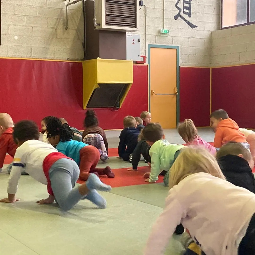 Judo et roi de l'oiseau Ecole Espaly