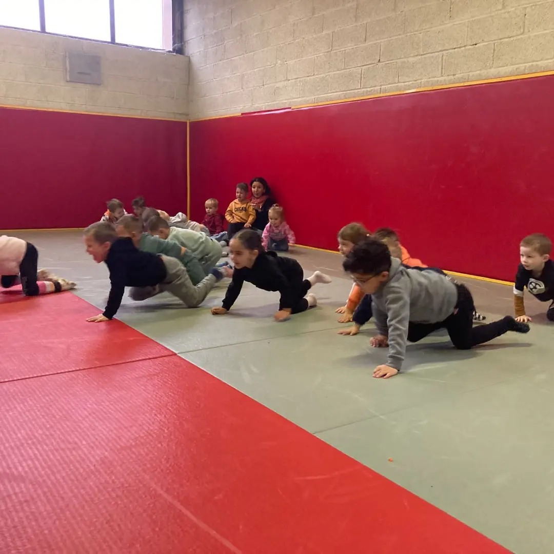 Judo et roi de l'oiseau Ecole Espaly