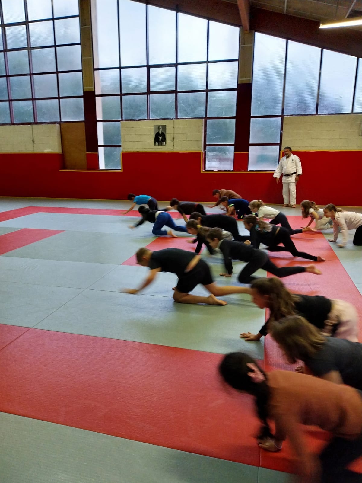 Judo et roi de l'oiseau Ecole Espaly