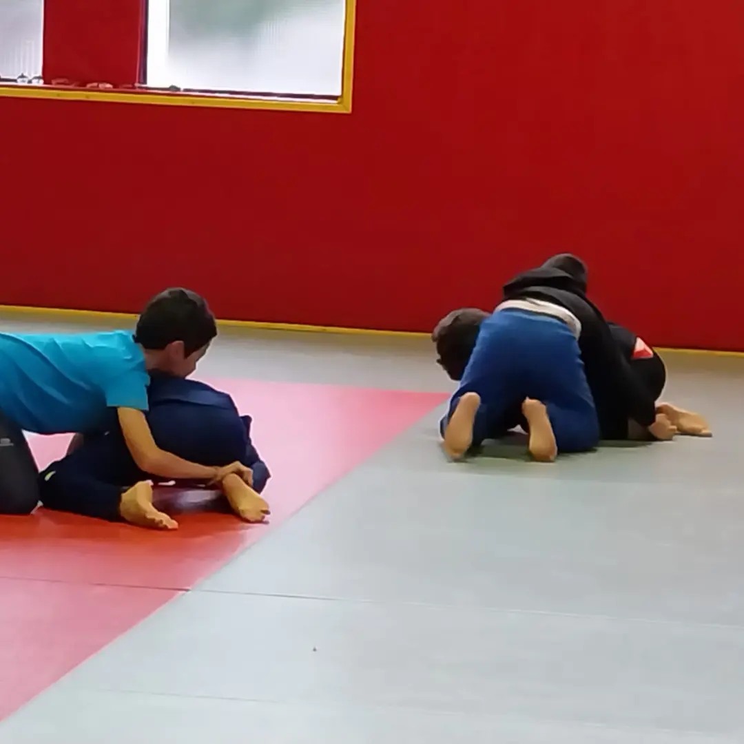 Judo et roi de l'oiseau Ecole Espaly