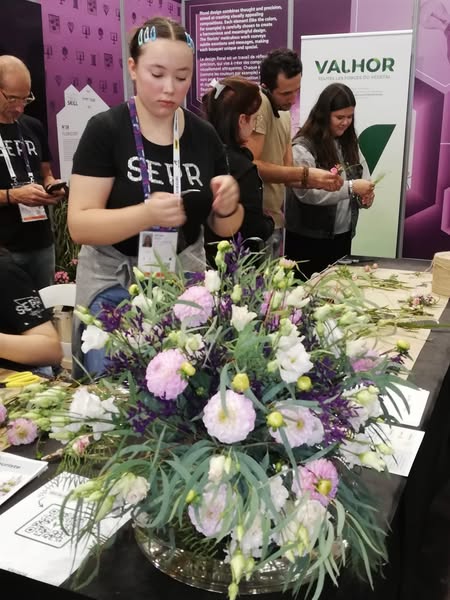 Demo 47eme competition mondiale des metiers